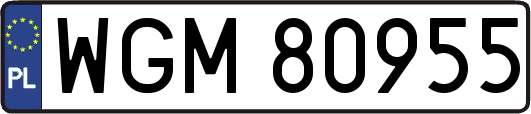 WGM80955
