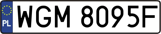 WGM8095F