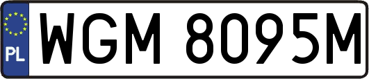 WGM8095M