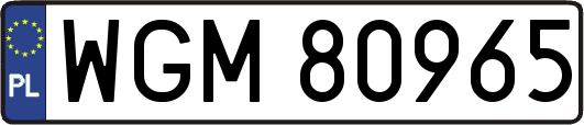 WGM80965
