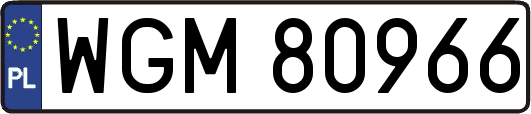 WGM80966