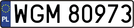 WGM80973