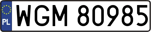 WGM80985