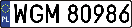 WGM80986