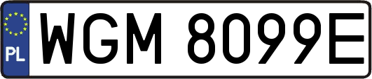 WGM8099E