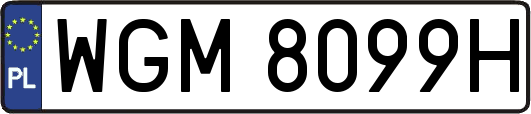 WGM8099H
