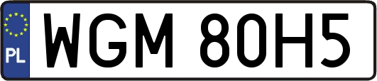 WGM80H5