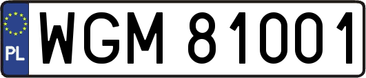 WGM81001