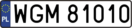 WGM81010