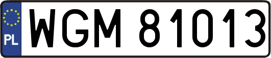 WGM81013