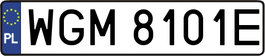 WGM8101E
