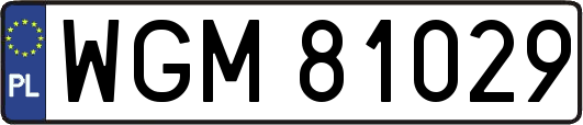 WGM81029