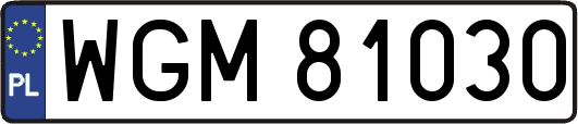 WGM81030