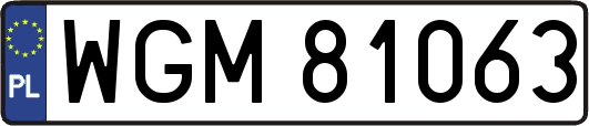 WGM81063