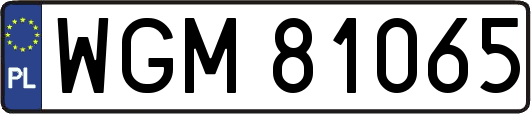 WGM81065