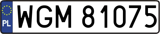 WGM81075
