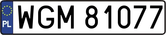 WGM81077