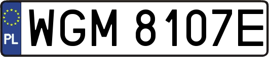 WGM8107E