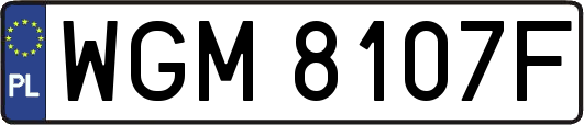 WGM8107F