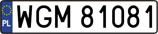 WGM81081