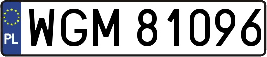 WGM81096