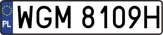 WGM8109H