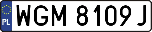 WGM8109J