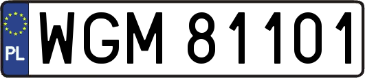 WGM81101