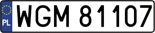WGM81107