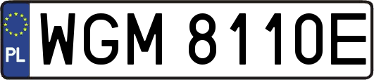 WGM8110E