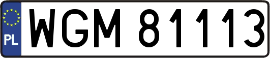WGM81113