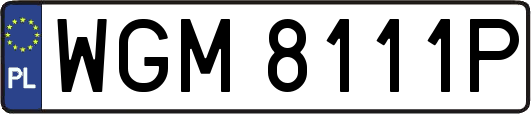 WGM8111P