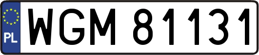 WGM81131