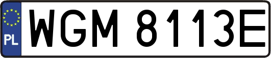 WGM8113E