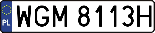 WGM8113H