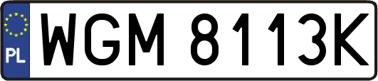 WGM8113K
