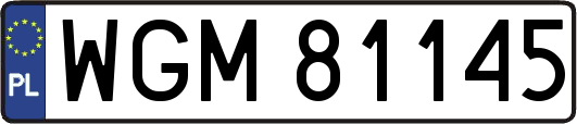 WGM81145