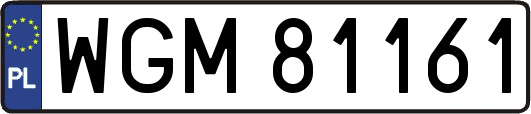 WGM81161