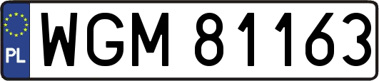 WGM81163