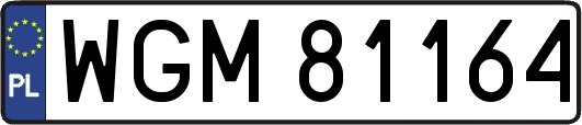 WGM81164