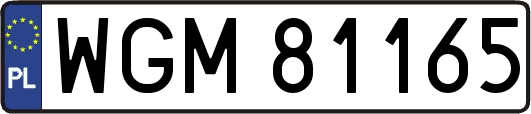 WGM81165