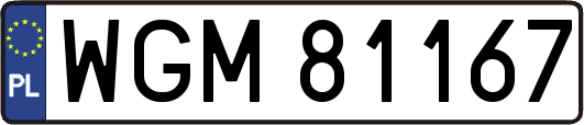 WGM81167
