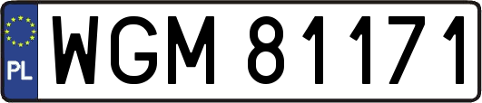 WGM81171