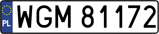 WGM81172