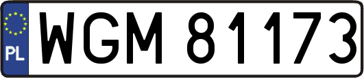 WGM81173