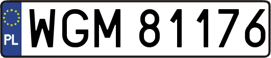 WGM81176