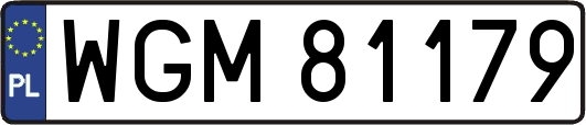 WGM81179