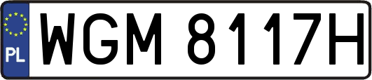 WGM8117H