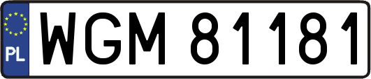 WGM81181