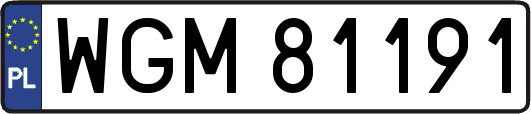 WGM81191